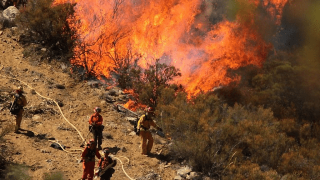 pass-the-wildland-firefighter-pack-test